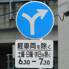 異形矢印標識(指定方向外進行禁止)。静岡県沼津市にある。