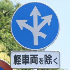 異形矢印標識(指定方向外進行禁止)。静岡県静岡市清水区にある。