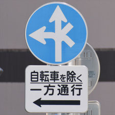 異形矢印標識(指定方向外進行禁止)。東京都江東区にある。