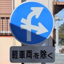 異形矢印標識(指定方向外進行禁止)。静岡県湖西市にある。