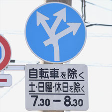 異形矢印標識(指定方向外進行禁止)。群馬県前橋市にある。