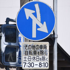 異形矢印標識(指定方向外進行禁止)。茨城県古河市にある。