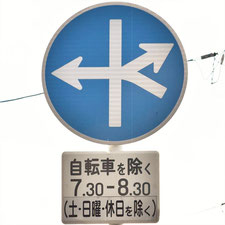 異形矢印標識(指定方向外進行禁止)。広島県広島市にある。