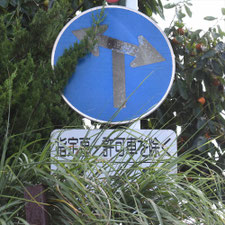 異形矢印標識(指定方向外進行禁止)。千葉県千葉市にある。