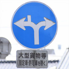異形矢印標識(指定方向外進行禁止)。栃木県足利市にある。