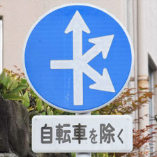異形矢印標識(指定方向外進行禁止)。広島県広島市にある。