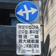 異形矢印標識(指定方向外進行禁止)。熊本県熊本市にある。