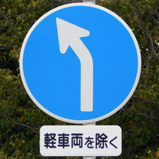 異形矢印標識(指定方向外進行禁止)。静岡県浜松市にある。