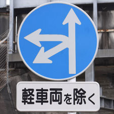 異形矢印標識(指定方向外進行禁止)。静岡県焼津市にある。