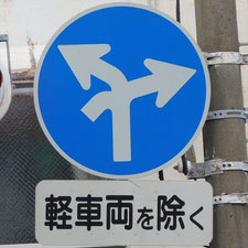 異形矢印標識(指定方向外進行禁止)。静岡県静岡市葵区にある。