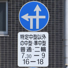 異形矢印標識(指定方向外進行禁止)。熊本県熊本市にある。