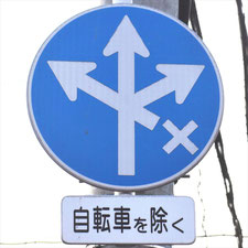 異形矢印標識(指定方向外進行禁止)。宮城県多賀城市にある。