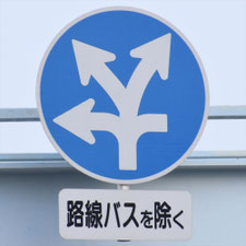 異形矢印標識(指定方向外進行禁止)。東京都練馬区にある。