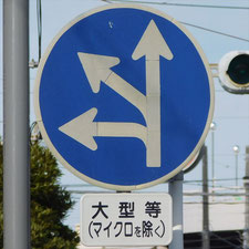 異形矢印標識(指定方向外進行禁止)。静岡県伊豆市にある。
