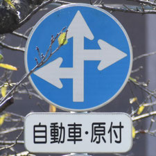 異形矢印標識(指定方向外進行禁止)。熊本県熊本市にある。