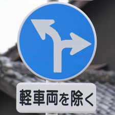 異形矢印標識(指定方向外進行禁止)。静岡県藤枝市にある。