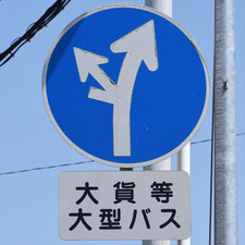 異形矢印標識(指定方向外進行禁止)。千葉県習志野市にある。