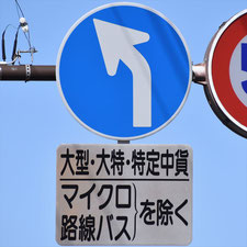異形矢印標識(指定方向外進行禁止)。長野県諏訪市にある。
