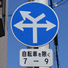 異形矢印標識(指定方向外進行禁止)。広島県広島市にある。