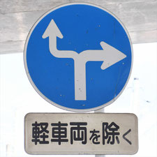 異形矢印標識(指定方向外進行禁止)。静岡県富士宮市にある。