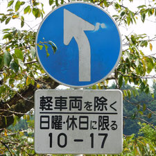 異形矢印標識(指定方向外進行禁止)。静岡県富士市にある。