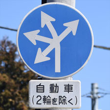 異形矢印標識(指定方向外進行禁止)。栃木県佐野市にある。