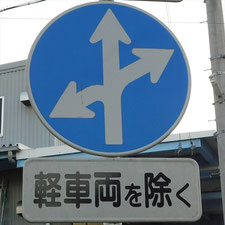 異形矢印標識(指定方向外進行禁止)。静岡県浜松市にある。