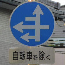 異形矢印標識(指定方向外進行禁止)。滋賀県長浜市にある。