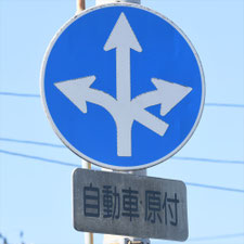 異形矢印標識(指定方向外進行禁止)。熊本県宇城市にある。
