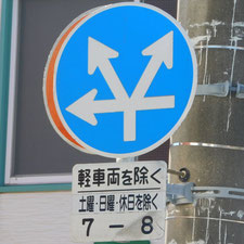 異形矢印標識(指定方向外進行禁止)。静岡県浜松市にある。