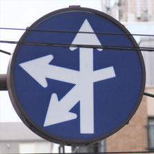 異形矢印標識(指定方向外進行禁止)。東京都文京区にある。