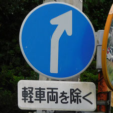 異形矢印標識(指定方向外進行禁止)。静岡県下田市にある。