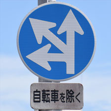 異形矢印標識(指定方向外進行禁止)。大阪府寝屋川市にある。