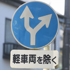 異形矢印標識(指定方向外進行禁止)。静岡県静岡市葵区にある。