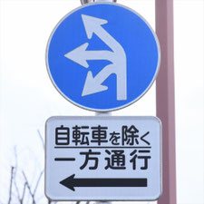 異形矢印標識(指定方向外進行禁止)。東京都練馬区にある。