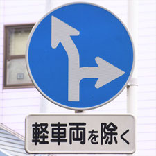 異形矢印標識(指定方向外進行禁止)。静岡県焼津市にある。