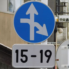 異形矢印標識(指定方向外進行禁止)。神奈川県相模原市南区にある。