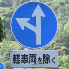 異形矢印標識(指定方向外進行禁止)。静岡県東伊豆町にある。
