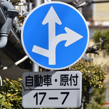 異形矢印標識(指定方向外進行禁止)。長野県諏訪市にある。