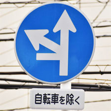 異形矢印標識(指定方向外進行禁止)。広島県広島市にある。