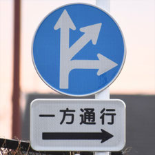 異形矢印標識(指定方向外進行禁止)。東京都練馬区にある。