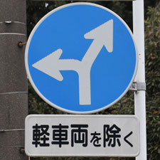 異形矢印標識(指定方向外進行禁止)。静岡県焼津市にある。