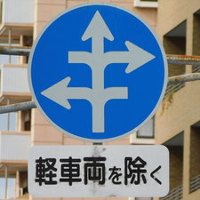 異形矢印標識(指定方向外進行禁止)。静岡県静岡市葵区にある。