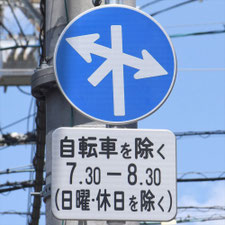 異形矢印標識(指定方向外進行禁止)。広島県広島市にある。