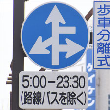 異形矢印標識(指定方向外進行禁止)。長野県長野市にある。