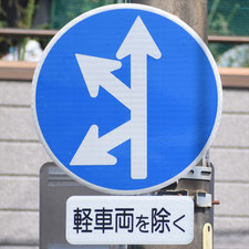 異形矢印標識(指定方向外進行禁止)。静岡県静岡市葵区にある。