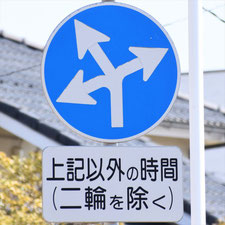 異形矢印標識(指定方向外進行禁止)。栃木県足利市にある。