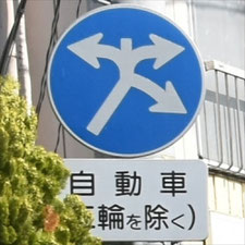 異形矢印標識(指定方向外進行禁止)。茨城県土浦市にある。