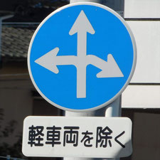 異形矢印標識(指定方向外進行禁止)。静岡県浜松市にある。