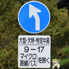 異形矢印標識(指定方向外進行禁止)。長野県小諸市にある。